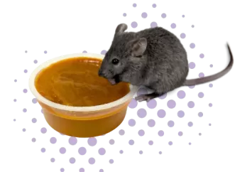 Diety w żelu